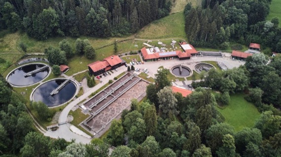 Führungen Grafische Übersicht des Abwasser- und Umweltverbands Chiemsee mit Einzugsgebieten, Pumpwerken, Kanälen und Kläranlagen rund um den Chiemsee. Pfeile zeigen den Weg des Abwassers bis zur Reinigung.